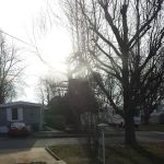 Trailwood Mobile Home & RV Park