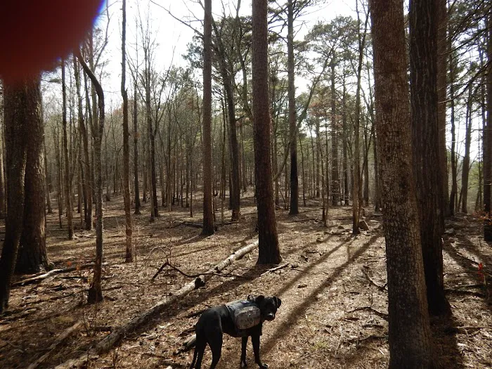 Redding Recreation Area 8