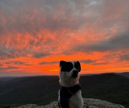 White Rock Mountain Campground