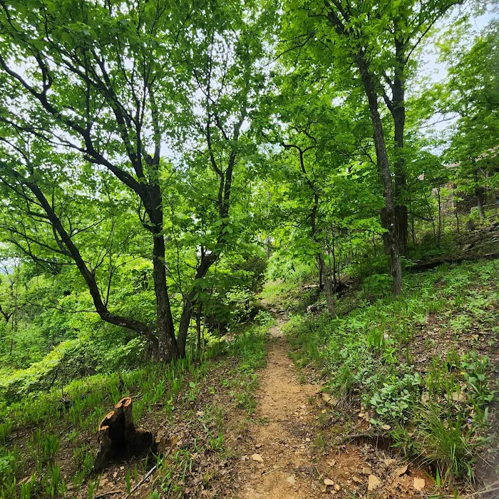 White Rock Mountain Campground 4