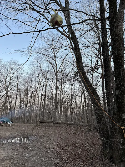 Walkingstick Ridge 4