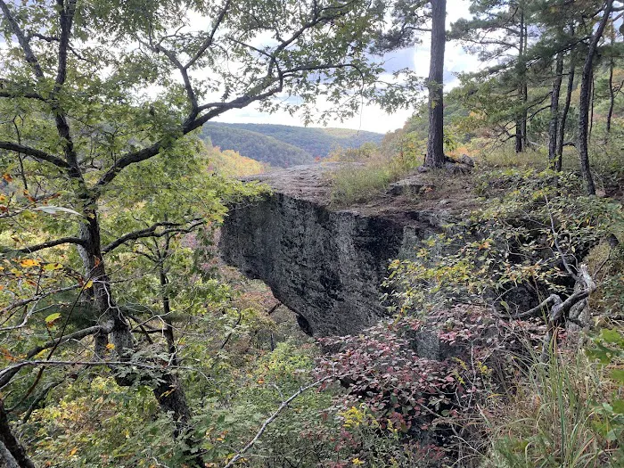 Robbins Ridge 5