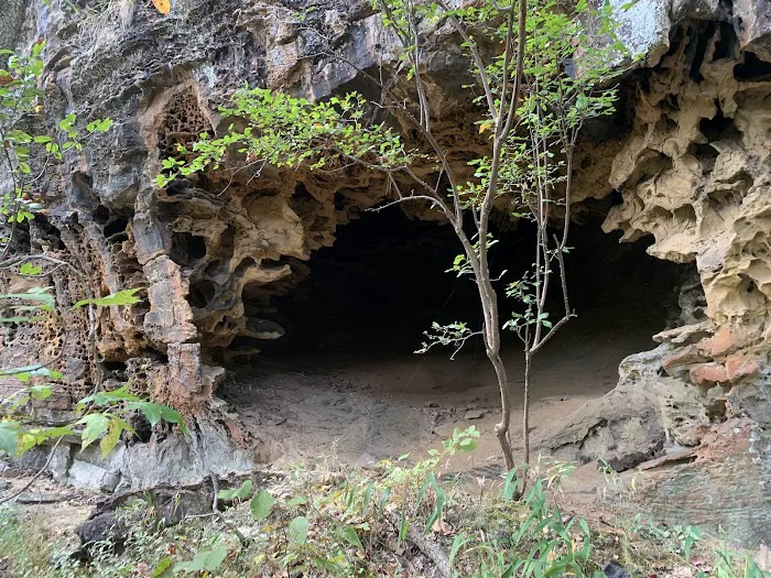 Robbins Ridge 8