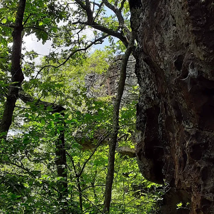Robbins Ridge 10