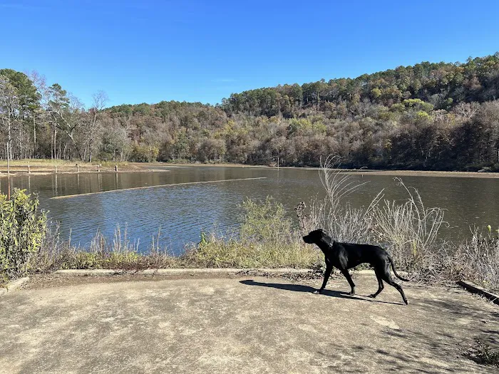 Shores Lake Recreation Area 8