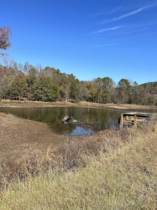 Shores Lake Recreation Area 1
