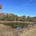 Shores Lake Recreation Area