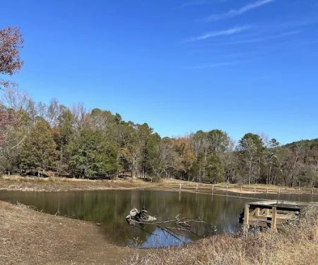 Shores Lake Recreation Area