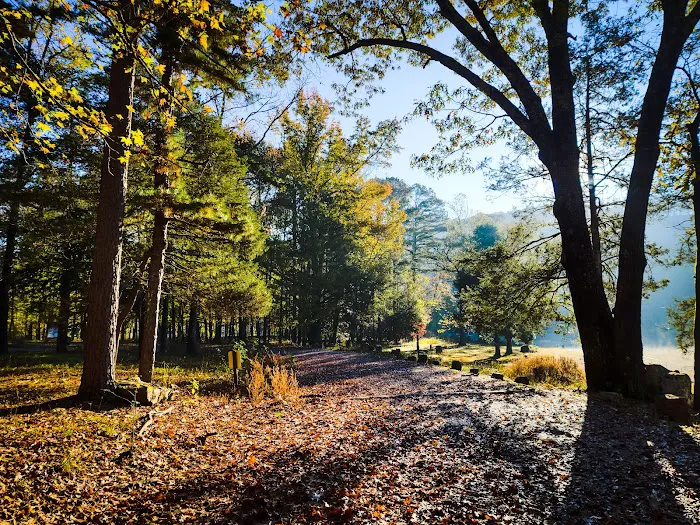 Shores Lake Recreation Area 9