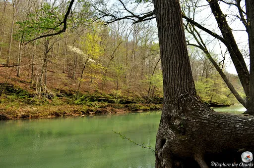 Wolf Pen Recreation Area 4