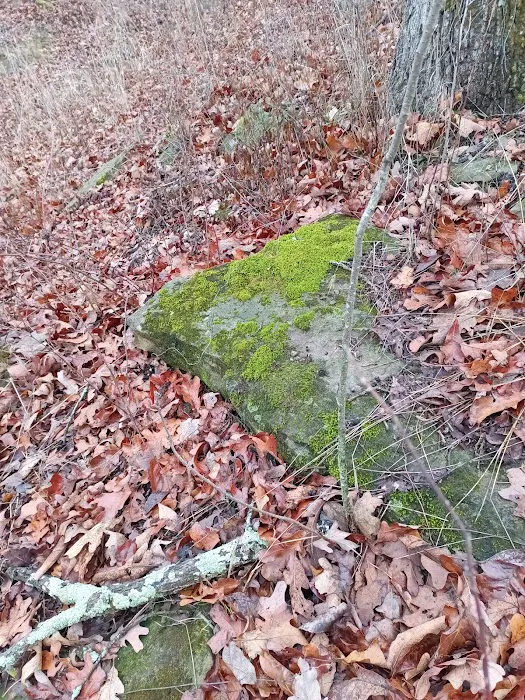 Bushwhacker Lake Conservation Area 4