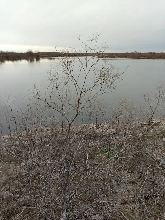 Bushwhacker Lake Conservation Area 1