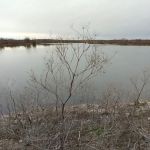 Bushwhacker Lake Conservation Area