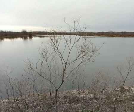 Bushwhacker Lake Conservation Area