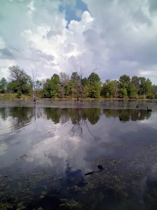Bushwhacker Lake Conservation Area 8