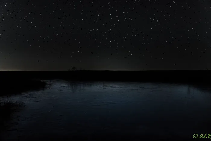 Bushwhacker Lake Conservation Area 10