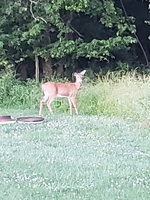 Prairie State Park Campground 2