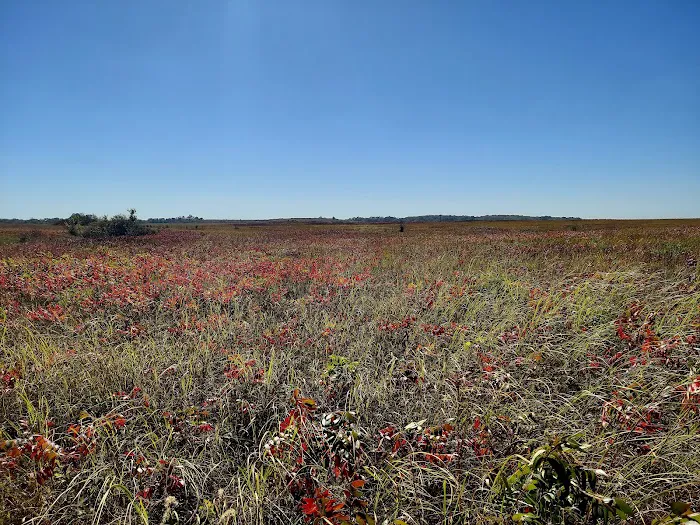 Prairie State Park Campground 7