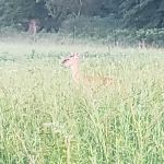 Prairie State Park Campground