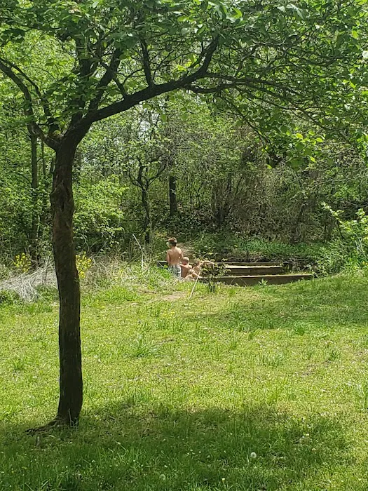 Prairie State Park Campground 5