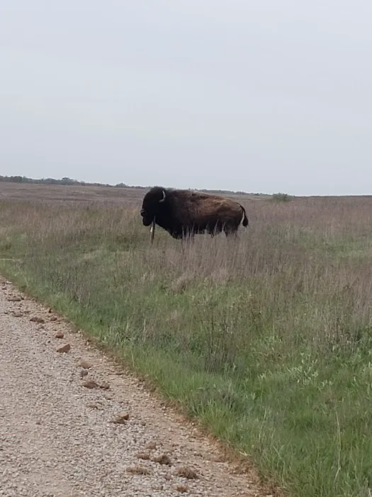 Prairie State Park Campground 4
