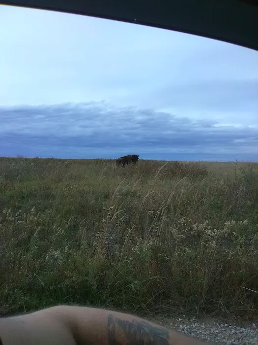 Prairie State Park Campground 10