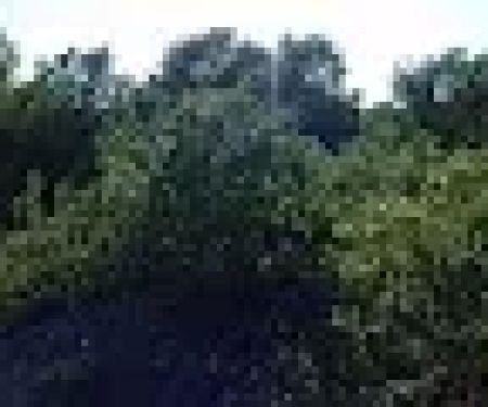 Lonestar Mobile Home Park