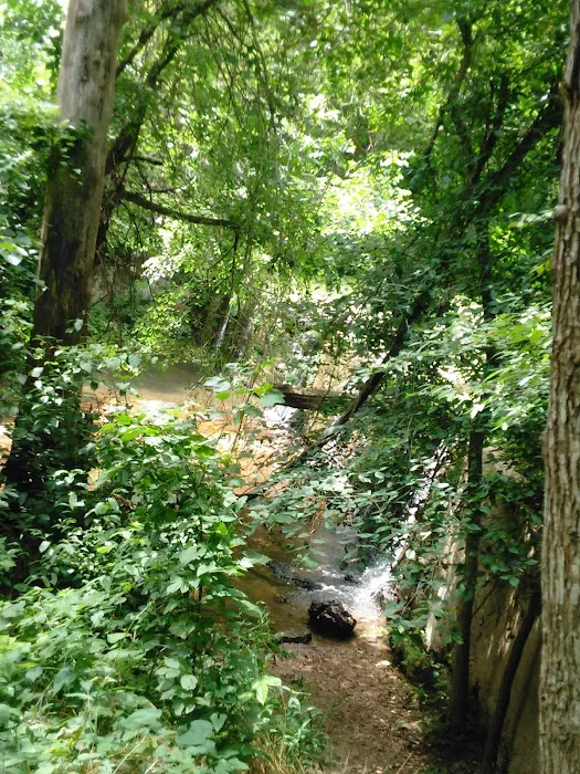 Green Tree RV Park 7