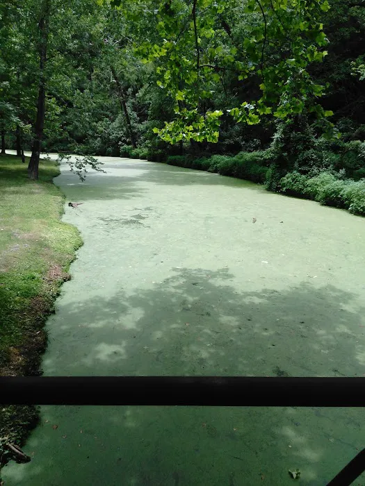 Green Tree RV Park 9