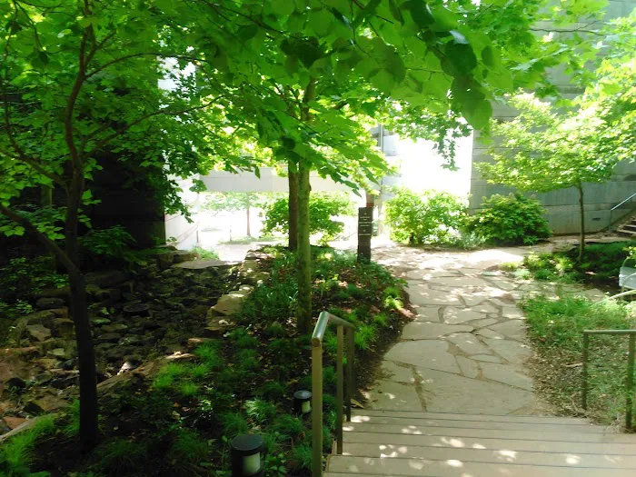 Green Tree RV Park 8