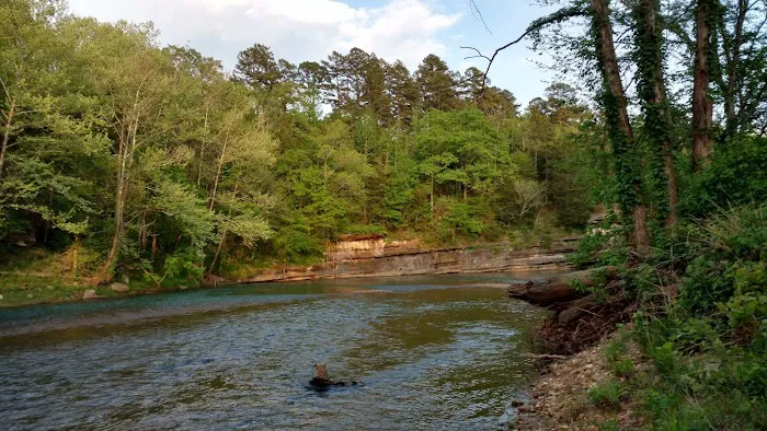 Mill Creek Camp 8