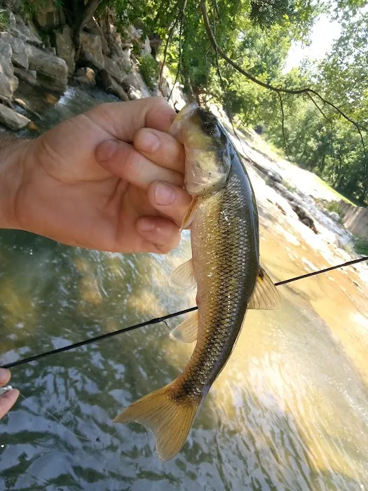 Mill Creek Camp 4