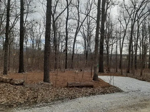 Shady Oaks Campground & RV Park 5
