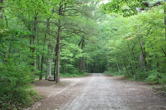 Haw Creek Falls Recreation Area 5