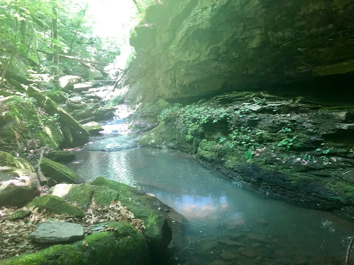 Haw Creek Falls Recreation Area 2
