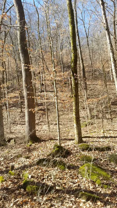 Haw Creek Falls Recreation Area 1