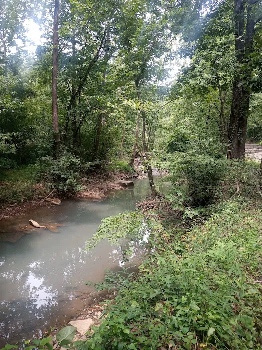 Horsehead Lake Campground 6