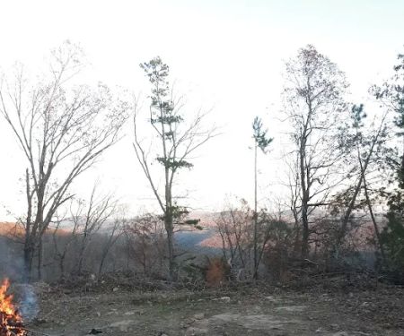 US Forest Service Boston Mountain Ranger Station