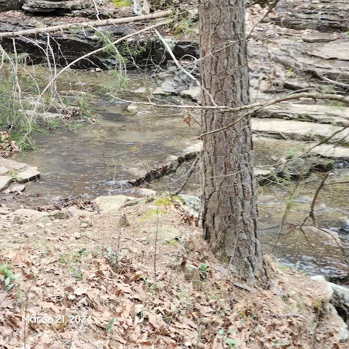 Quail Valley 8