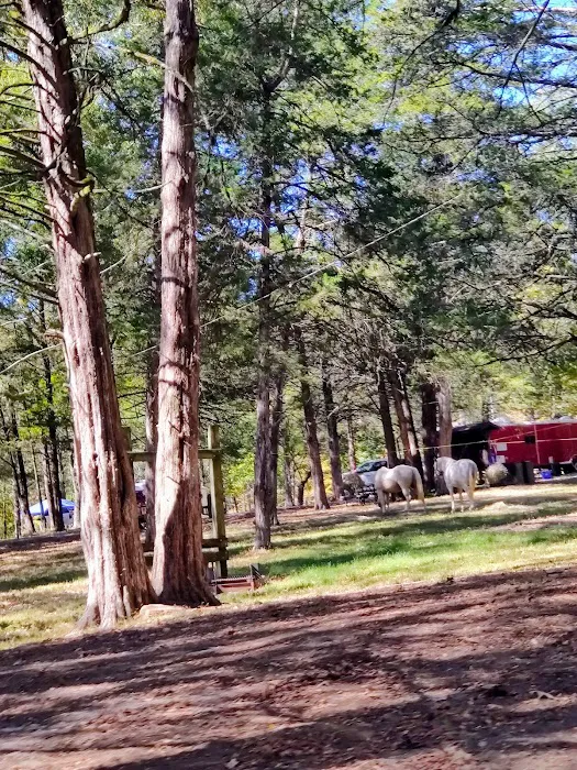 Devil’s Den Horse Camp 5
