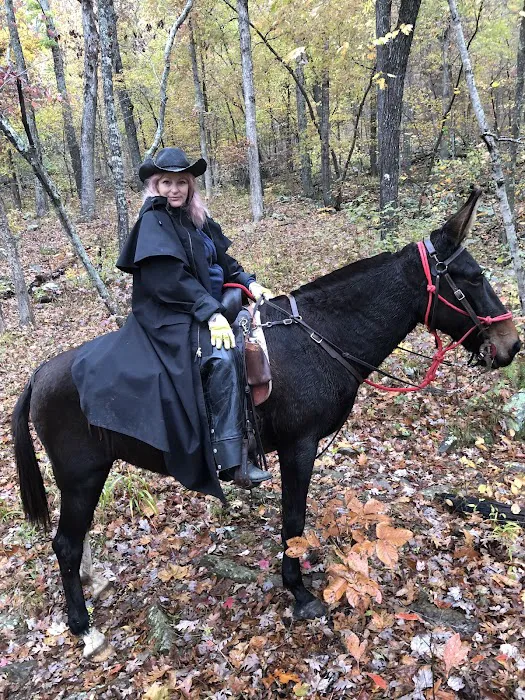 Devil’s Den Horse Camp 7