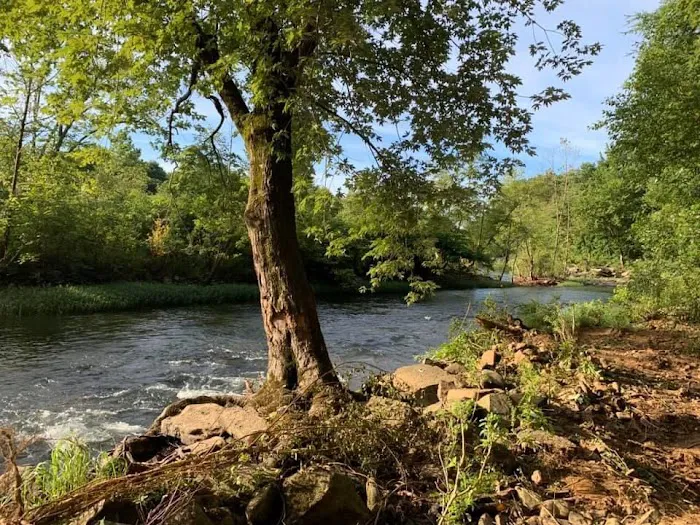 Mulberry River Outdoor Adventures 3