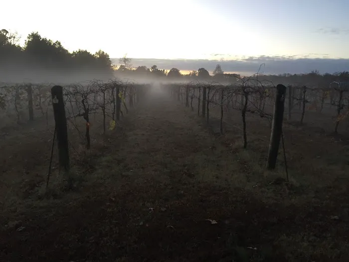 Grape Country RV Park 9