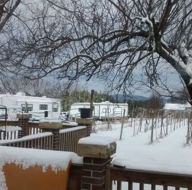 Primrose Farm RV & Camping 2