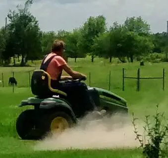 Primrose Farm RV & Camping 3