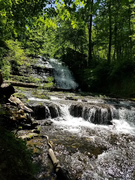 Lake Wedington Campground 10