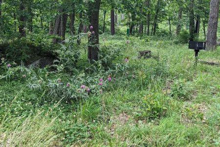 Lake Wedington Campground