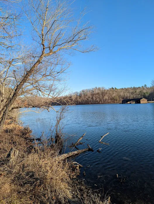 Lake Wedington Campground 6