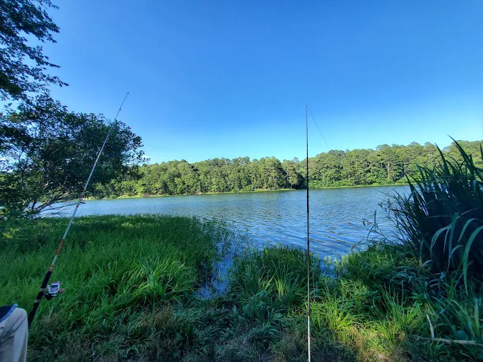 Lake Wedington Campground 5