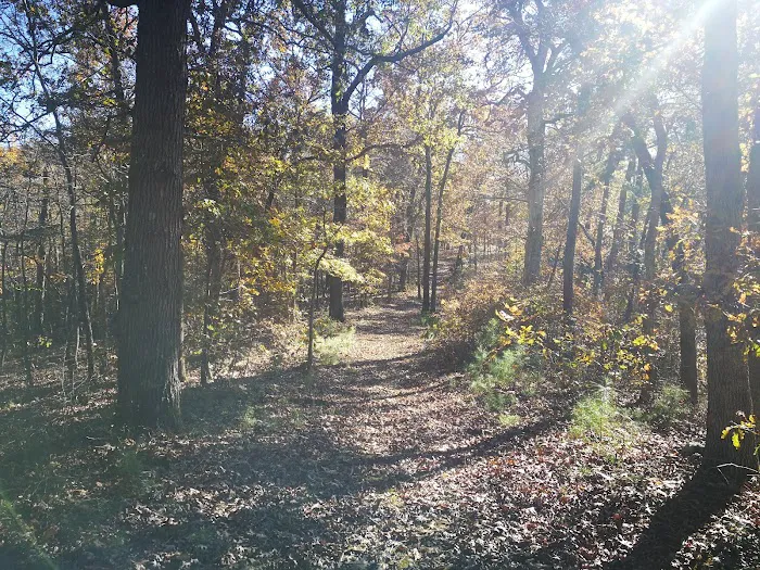 Lake Wedington Campground 7